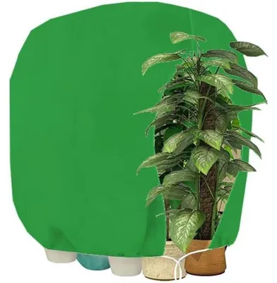 Produktbild von Pflanzen-Winterschutzhaube mit Reißverschluss 200x240cm Grün