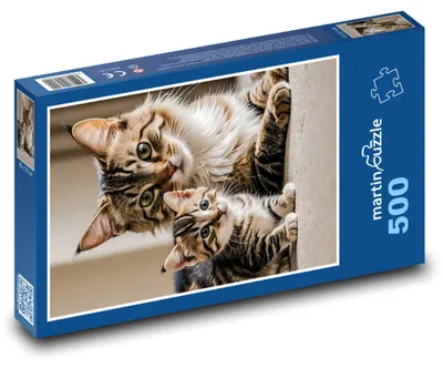 Produktbild von Puzzle 500 Katze und spielendes Kätzchen - martinpuzzle