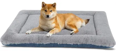 Immagine prodotto di Cuccia per cani, lavabile, morbida, grigia/blu, taglia M (76x50 cm)