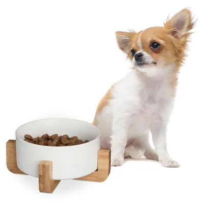 Immagine prodotto di Omgoods - Ciotola per cibo per cani in Vetroceramica con supporto in bambù - 850 ml