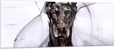 Produktbild von Bilder auf glas - Hund Abstraktion - 140x50cm - Glasbilder - Wandbilder - Kunstdruck - zum Aufhängen bereit - Wanddekoration aus Glas - Glas Bilder - Wandbild auf Glas - Einteilig - GAB140x50-3999