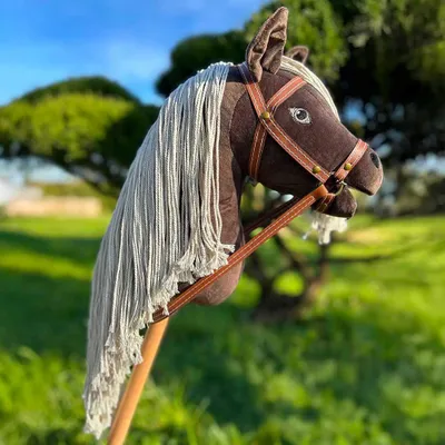 Produktbild von Hobby Horse -Mini-2100 dunkelbraun