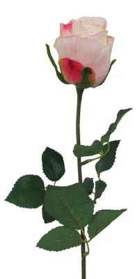 Produktbild von Kunstblume, Seidenblume, ROSE. Ca 54cm. Rosen 1 Stück. ROSA
