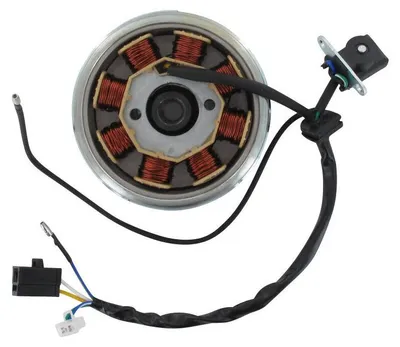 Produktbild von Lichtmaschine komplett Euro 4 45 km/h Znen 31100-SQ5A-9145