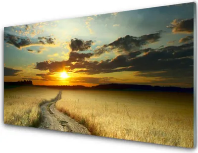 Produktbild von Acrylglasbilder 100x50 Wandbild Druck Weg Wiese Landschaft