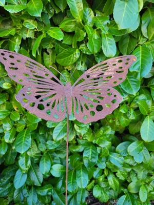 Produktbild von Edelrost Schmetterling Saskia, am Wackelstab