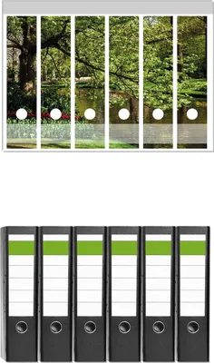 Produktbild von Wallario 6 Stück breite Ordner inkl. Klebeetiketten mit Motive Bunte Blumen im Park am Wasser - Frühblüher am Ufer -  Set mit Rückenschildern / Ordnerrücken Stickern