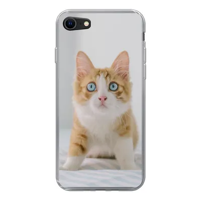 Produktbild von MuchoWow® Handyhülle Schutzhülle Hülle für iPhone 7 Kätzchen - Blau - Orange - Mädchen - Jungen - Kind Silikon Softcase Handy Hülle - Kartenhalter