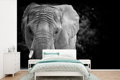 Produktbild von MuchoWow® Fototapete für Wohnzimmer oder Schlafzimmer Wandtapete Vinyl Motivtapete Porträt eines Elefanten in Schwarz und Weiß - 525x350 cm - Das Hintergrundbild