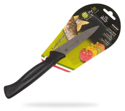 Image de Couteau à légumes PREMAX - Gamme Easy 88287, acier inoxydable, 10 cm