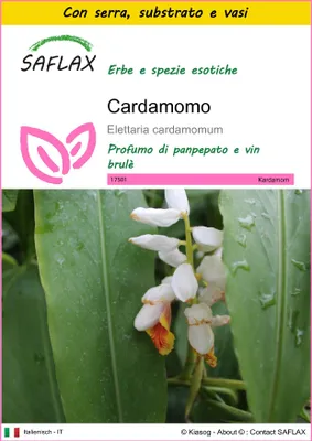 Immagine prodotto di SAFLAX Insieme di coltivazione - Cardamomo - 20 semi - Elettaria