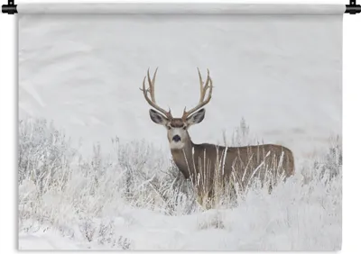 Produktbild von MuchoWow® Wandteppich Wandbehang Hirsche - Winter - Schnee - Tiere - Jahreszeiten - Weiß 120x90 cm Tapisserie Dekoration Wandtuch - Wohnen - Aufhänger für die Wand