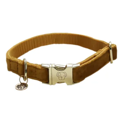 Zdjęcie produktu dla Kentucky Dogwear Aksamitna obroża dla psa Obroża dla psa