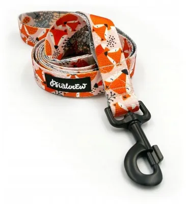 Image de Psiakrew Smycz miejska Lisiczka 160 cm pour grand chien