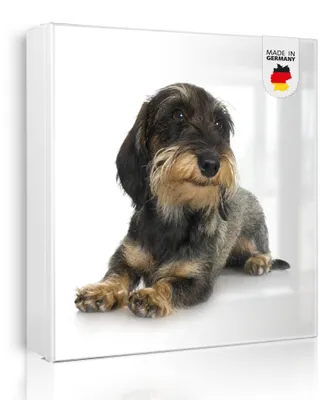 Zdjęcie produktu dla banjado metalowa szafka na klucze, duża 30x30 cm z 32 haczykami, może służyć jako tablica magnetyczna, biały korpus, zawias po lewej stronie, Dackel [SKGW2 10150]