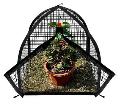 Produktbild von Pflanzenschutz und Abwehr gegen Tiere | Schutz für Blumenbeete, Gemüse, Terrasse und Haustiere