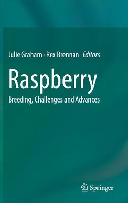 Produktbild von Raspberry