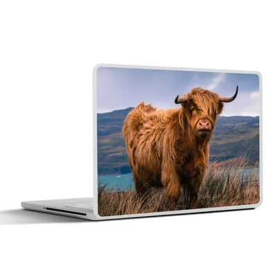 Produktbild von MuchoWow® Laptop Aufkleber Sticker Cover Schottische Highlander - Himmel - Natur 30x22 cm - Laptop-Sticker