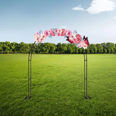 Imagen del producto de Arco de jardín de hierro para plantas trepadoras