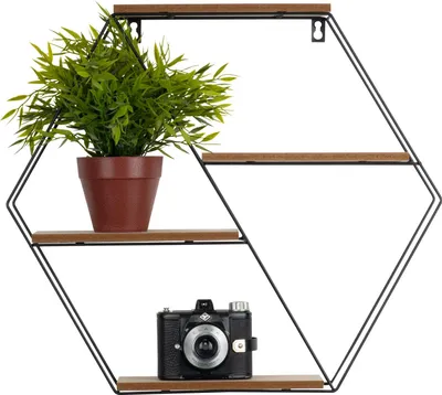 A hexagonal wall shelf with a plant and a camera.