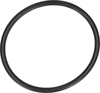 Produktbild von BLUPARTS - KOMPATIBEL 10107365 Dichtung Sieb / Pumpentopf 172mmØ passend für AEG 8996461217706 BLUPARTS in Geschirrspüler