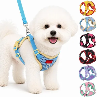 Produktbild von Hundegeschirr mit Leine Set für Welpen und kleine Hunde, atmungsaktives Mesh, verstellbar, reflektierend, Blau, Größe M