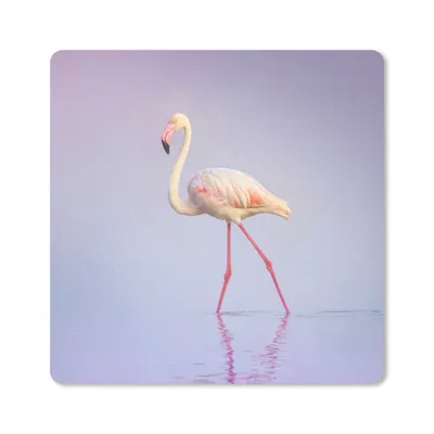 Produktbild von MuchoWow® Mauspad Mousepad Flamingo - Wasser - Rosa 20x20 cm - Mousepads - Maus Mat - Pad - Mausunterlage - Desk Mat - Bureauartikeln