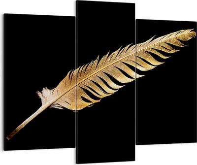 Produktbild von Bild auf Leinwand - Leinwandbild - 3 Teile - Golden Feder Schwarz - 130x100cm - Wand Bild - Wanddeko - Wandbilder - Leinwanddruck - Bilder - Wanddekoration - Leinwand bilder - CB130x100-4887