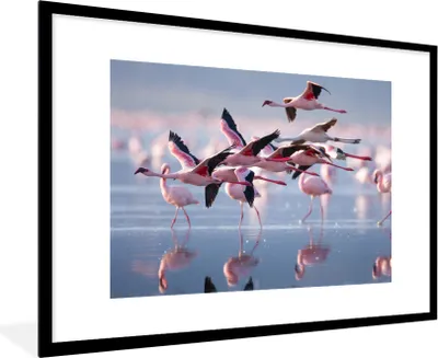 Produktbild von MuchoWow® Gerahmtes Poster Flamingo - Vogel - Wasser - Rosa 90x60 cm - Poster mit Schwarzem Bilderrahmen Wandposter Rahmen Foto Bilder - Wanddekoration - Fotos