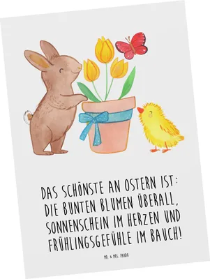 Produktbild von Mr. & Mrs. Panda Postkarte Hase Küken - Weiß - Geschenk, Grußkarte, Postkarten, Ostergeschenk, Ostern, Ansichtskarte, Ansichtskarten, bildkarte