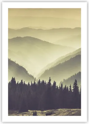 Produktbild von Poster - Poster ohne Rahmen - Berge Wald Natur - 50x70 cm - Wand Bild - Wanddeko - Wandbilder - Kunstposter - Wandposter - Bilder - Kunstdruck - Wanddekoration - Wandbild - P2XPA50x70-3820