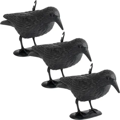 Produktbild von Gardigo Taubenschreck Rabe 3er Set Vogelschreck für draußen