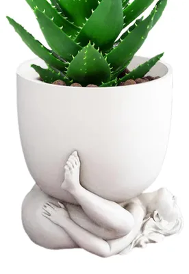 Immagine prodotto di Elegante vaso in resina per piante grasse