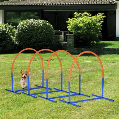 Zdjęcie produktu dla PawHut Dog Agility Training Equipment, zestaw do agility dla psów, 4-częściowy zestaw do agility dla starszych psów, zestaw do szkolenia psów z torbą transportową, niebiesko-pomarańczowy, 88 x 64 x 95 cm
