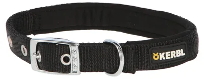 Immagine prodotto di Collare per cani Miami Plus, 38 -46 cm x 25 mm, nero, Kerbl