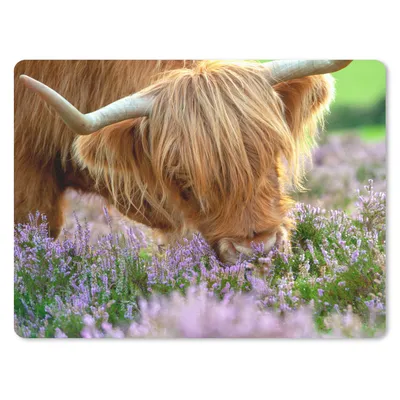 Produktbild von MuchoWow® Mauspad Mousepad Schottische Highlander - Gras - Heidekraut - Tiere 40x30 cm - Mousepads - Maus Mat - Pad - Mausunterlage - Anti Rutsch