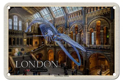 Produktbild von Blechschild Städte London Natural History Museum 18x12cm Dekoration