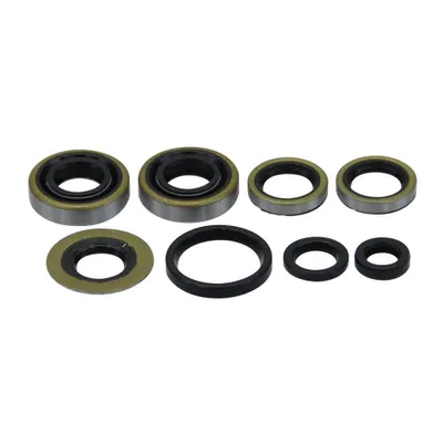 Obrázek produktu pro Sada olejového těsnění motoru pro motor s pedálovým startem Sachs 50/3 50/4 (17mm KW)