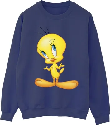 Produktbild von Looney Tunes - Sweatshirt für Herren BI33920 (M) (Marineblau)