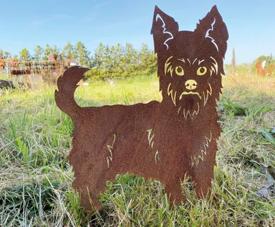 Produktbild von Gartenfigur Hund Terrier stehend 36x31cm Gartenstecker Edelrost Gartendeko Wetterfest Rost Metall Rostfigur Hunde Figur Tier