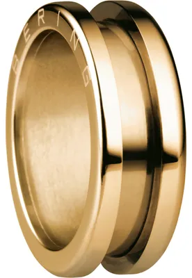 Produktbild von Bering Jewelry Symphony 520-30-x3 Ring Außenring, Ringgröße:57 / 8