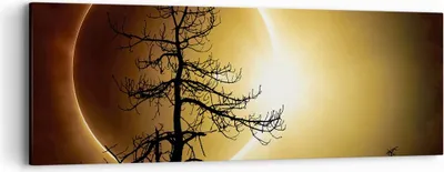 Produktbild von Bild auf Leinwand - Leinwandbild - Einteilig - Sonnenfinsternis die Sonne Baum - 90x30cm - Wand Bild - Wanddeko - Wandbilder - Leinwanddruck - Bilder - Wanddekoration - Leinwand bilder - AB90x30-4349