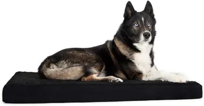 Produktbild von Trixie Transportkäfig mit den Maßen 93 69 62 cm