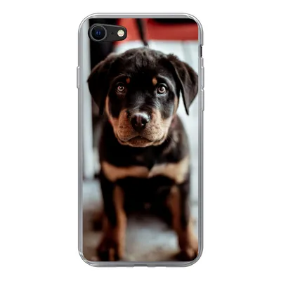 Produktbild von MuchoWow® Handyhülle Schutzhülle Hülle für iPhone 8 Jung - Hund - Kamera Silikon Softcase Handy Hülle - Schutzhaube