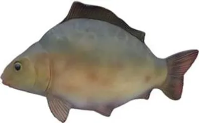 Produktbild von Dekorativer moderner schöner Skulpturenfisch, Figurenhöhe 60 cm.