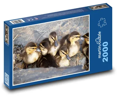 Obrázok produktu pre martinpuzzle - Puzzle 2000 - Kácky - mládatá, vtáky