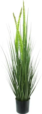 Produktbild von Topfpflanze Steppenkerze 90cm – Kunstpflanze, Dekogras