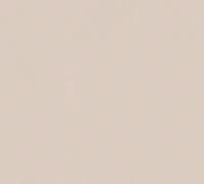 Obrázek produktu pro A.S. Création Vliestapete MeisterVlies 5 die glatte Wand beige 10,05 m x 0,53 m 309150
