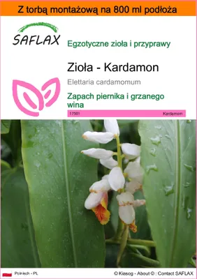 Zdjęcie produktu dla SAFLAX - Garden in the bag - Zioła - Kardamon - 20 Nasiona - Z podłożem uprawowym w praktycznej, samorozkładającej się torbie - Elettaria cardamomum