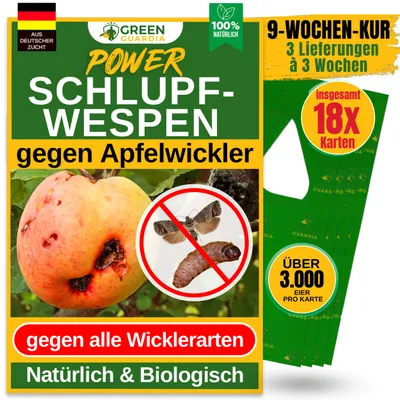Produktbild von Green Guardia Schlupfwespen gegen Apfelwickler -6x Karten 3x Lieferung- Biologisches Mittel gegen Apfelwickler, Chemiefrei Apfelwickler bekämpfen